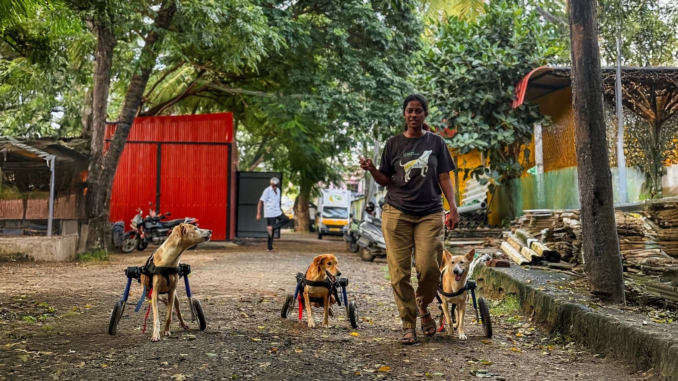 Introducing Mission India: The Fight for India's Street Dogs