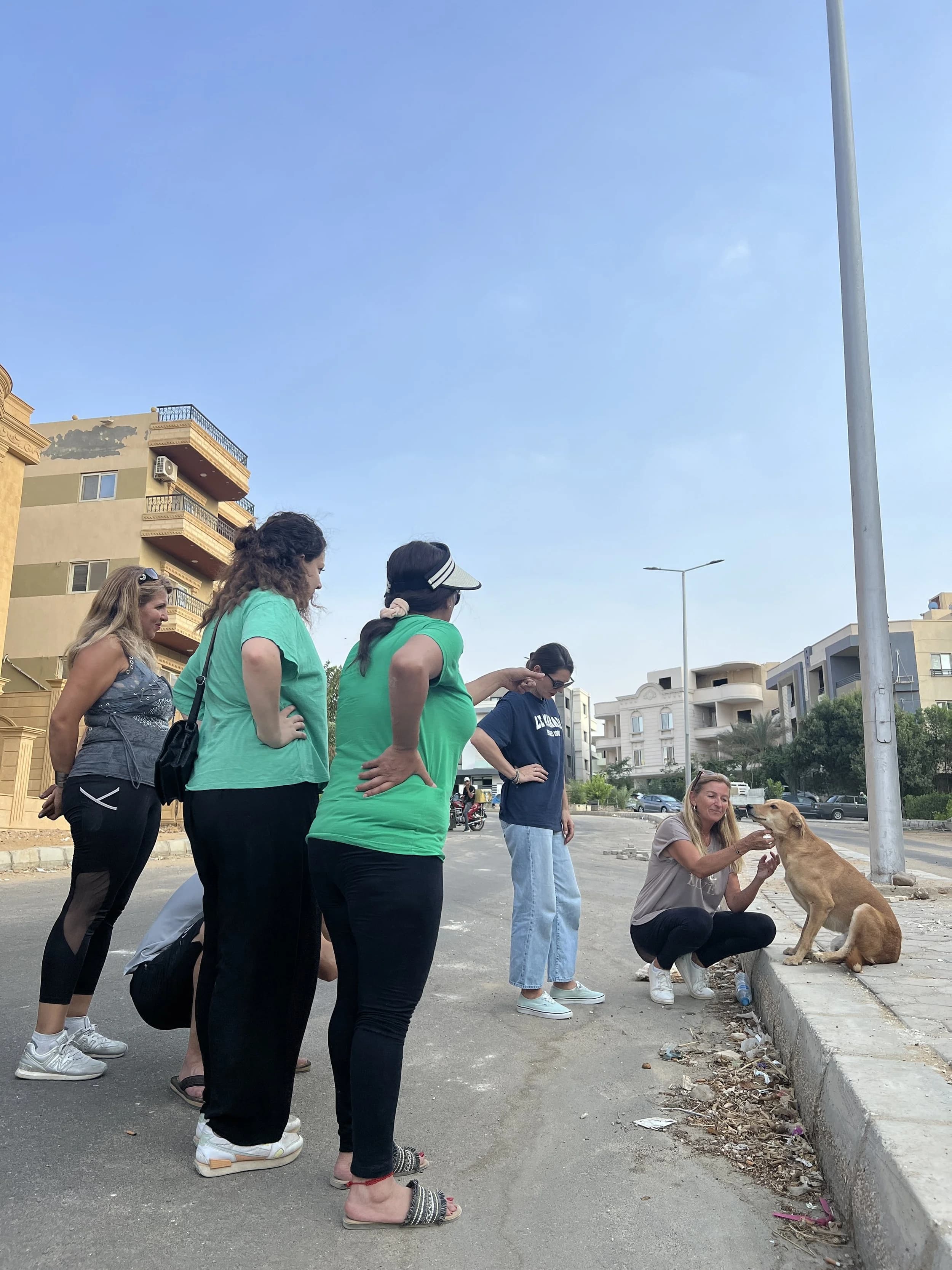 Returning to Egypt with £2,500 for a Street Dog Sanctuary