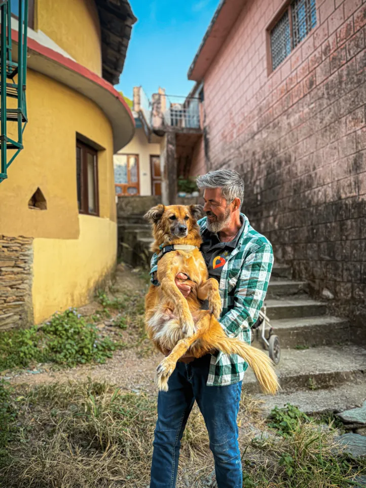 Dharamsala Animal Rescue