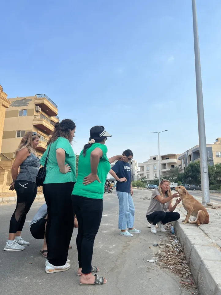 TNR Sherouk